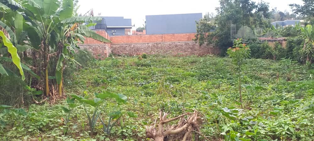 Bidding on Plots in Rwanda: Your Roadmap to Profitable Land Acquisition